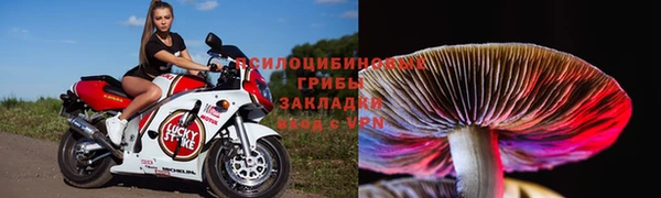 каннабис Магадан