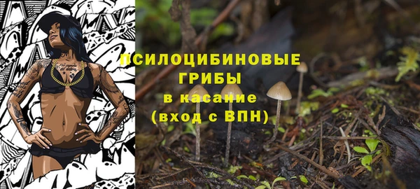 МДМА Медвежьегорск
