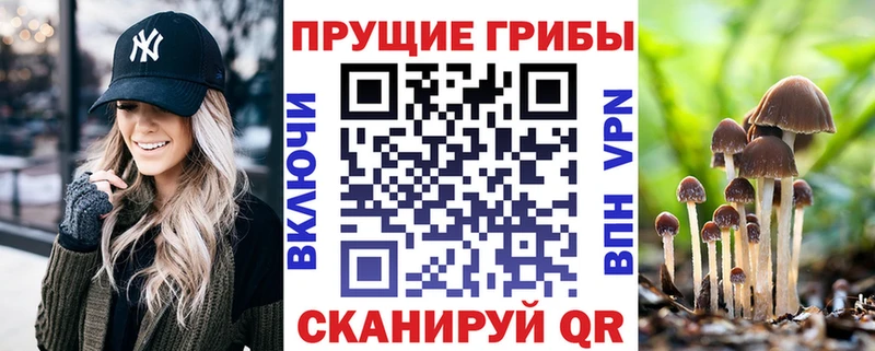 Псилоцибиновые грибы мухоморы  купить  сайты  нарко площадка как зайти  Красновишерск 